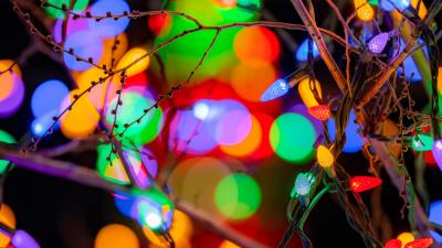 Branches garlands colorful 4k wallpaper