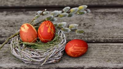 Eggs easter willow decorating 4k wallpaper