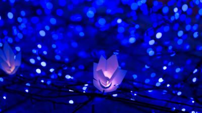 Garland glare bokeh 4k wallpaper