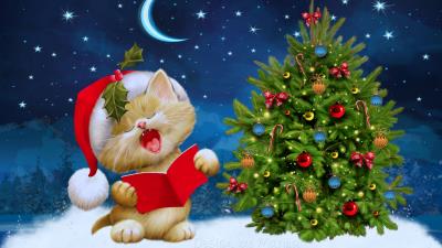 New year christmas cat car 4k wallpaper