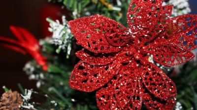 Ornament christmas ornaments poinsettia decoration 4k wallpaper