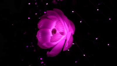 Lotus abstraction light flower image 4k wallpaper