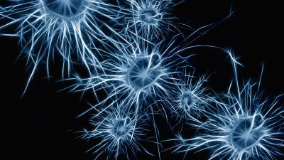 Neurons cell structure image 4k wallpaper