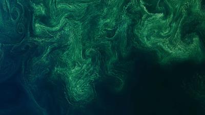 Sea surface aerial view 4k wallpaper