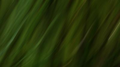 Stripes lines distortion 4k wallpaper