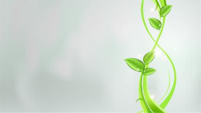 Abstraction petals lines patterns 4k wallpaper