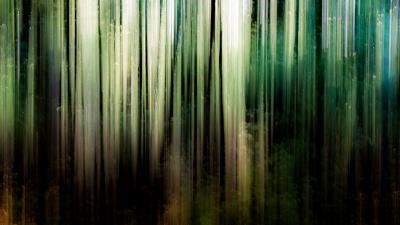 Abstraction stains trees 4k wallpaper