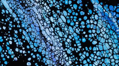 Bubbles paint texture 4k wallpaper