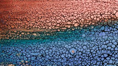 Bubbles stains liquid 4k wallpaper