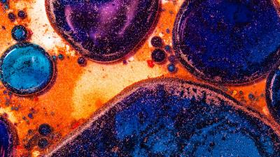 Circles shapes sparkles 4k wallpaper