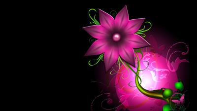 Flower light leaf circle background 4k wallpaper