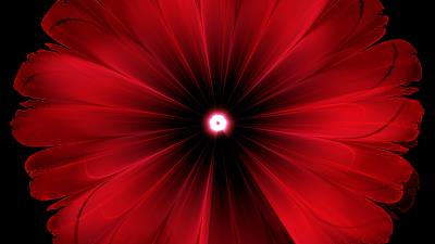 Flower red glow 4k wallpaper