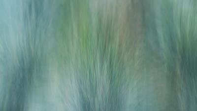 Grass wind distortion 4k wallpaper