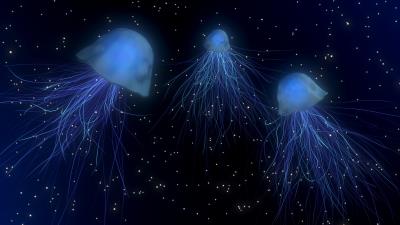 Jellyfish abstract space underwater world 4k wallpaper