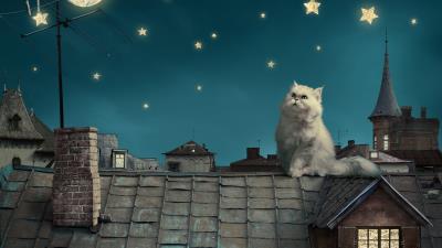 White persian cat kitten fairy tale fantasy roofs 4k wallpaper