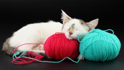 Cat ball thread sleep playful 4k wallpaper
