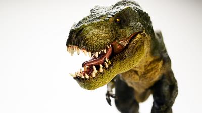 Dinosaur tyrannosaurus t rex 5 4k wallpaper