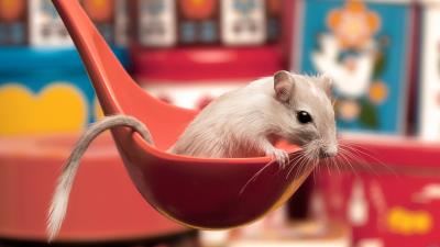 Mouse ladle sitting spoon curiosity 4k wallpaper