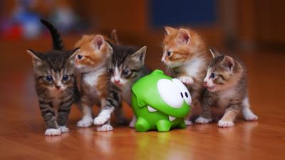 Om nom kittens toy 4k wallpaper