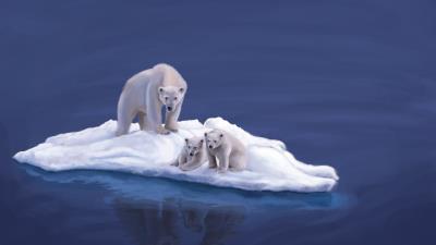 Polar bears drawing island 4k wallpaper