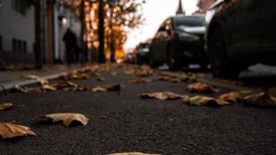 Street leaves asphalt 4k wallpaper