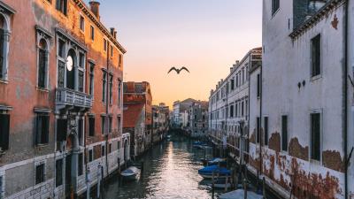 Venice italy canal seagull river 4k wallpaper