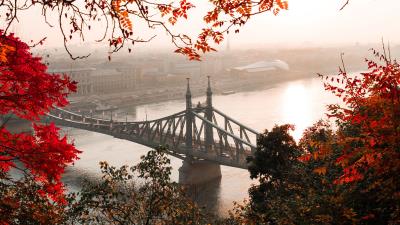 Bridge autumn city 4k wallpaper