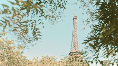 Eiffel tower tower branches 4k wallpaper