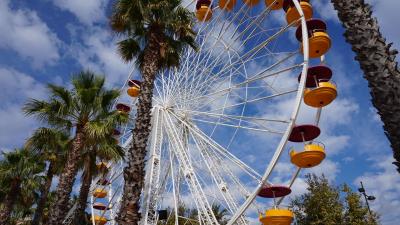 Ferris wheel amusement palm trees 4k wallpaper