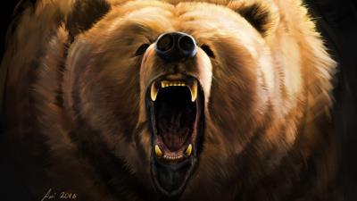 Bear grin angry 4k wallpaper