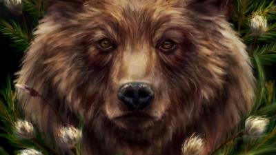 Bear horns predator 4k wallpaper