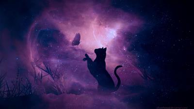 Cat silhouette butterfly 4k wallpaper