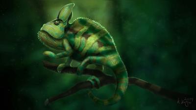 Chameleon lizard green 4k wallpaper