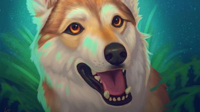 Dog glance tongue protruding 4k wallpaper