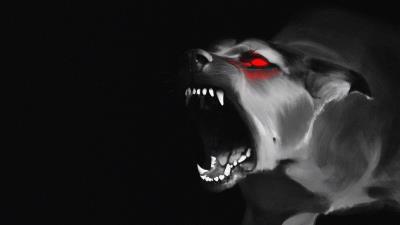 Dog grin fangs 4k wallpaper