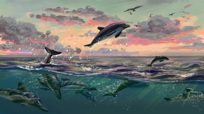 Dolphins jump water 4k wallpaper