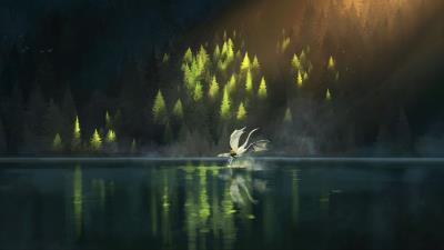 Dragon friends fantasy 4k wallpaper