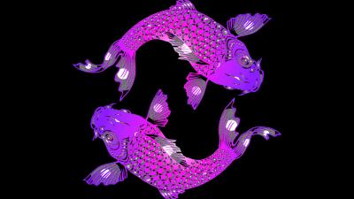 Fish yin and yang art 4k wallpaper