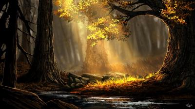 Forest river trees 4k wallpaper