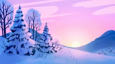 Forest trees spruce 4k wallpaper