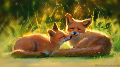 Foxes cute animals 4k wallpaper