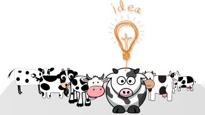 Idea lamp cows 4k wallpaper