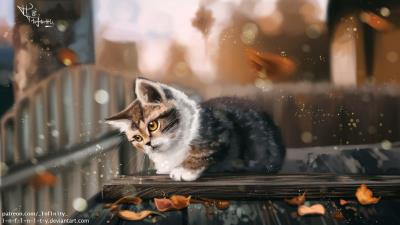 Kitten cat leaves 4k wallpaper