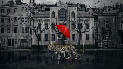 Leopard girl umbrella 4k wallpaper