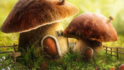 Mushroom house door 4k wallpaper