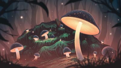 Mushrooms glow light 4k wallpaper