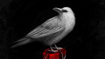 Raven bird art 4k wallpaper