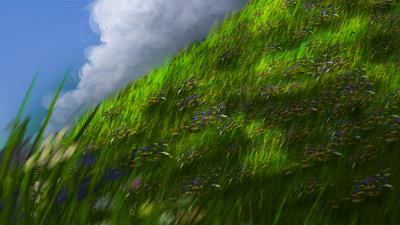 Slope grass flowers 4k wallpaper