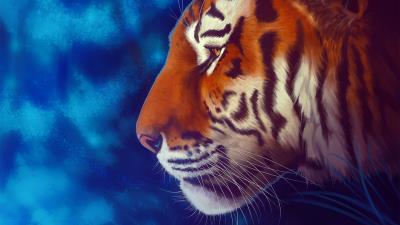 Tiger glance art 4k wallpaper