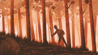 Traveler forest trees 4k wallpaper